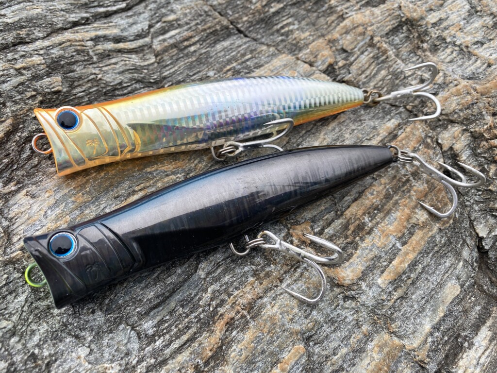 兵庫県沼島で青物ハント！ロックショア初場所でのショアジギング攻略