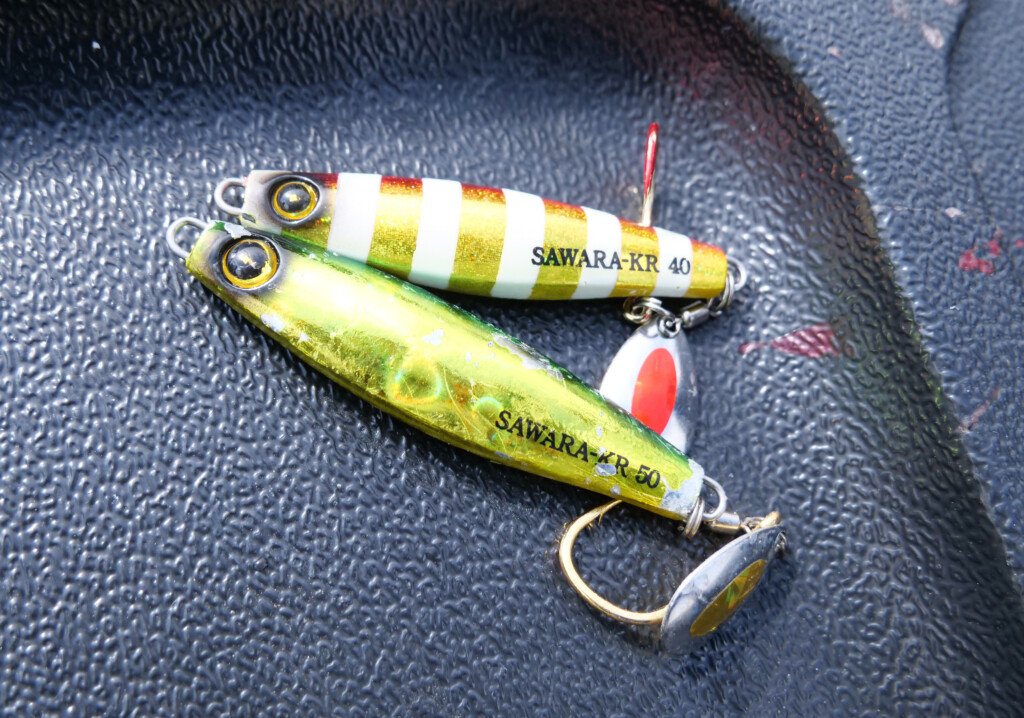 ジャックアイ】新潟東港・サワラスピンでサゴシ祭！ ジャーキングで