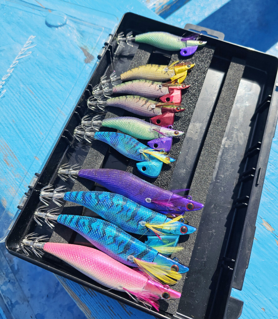 人気メーカー TRエギ 19個セット エギ王 TR｜YAMASHITA｜イカ釣りで