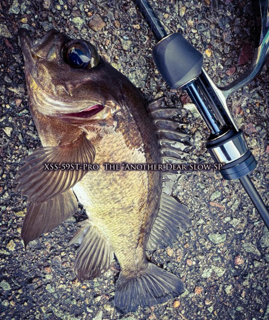 G-TECクロスセンシティブ・スピニング第3弾「XSS-59ST-Proアナザー