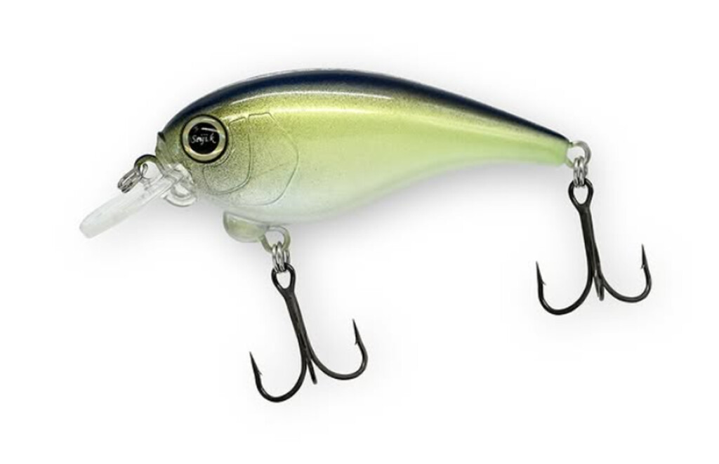 サラモア SaraMoa】加藤誠司のレヴォニックから新型フラットサイド