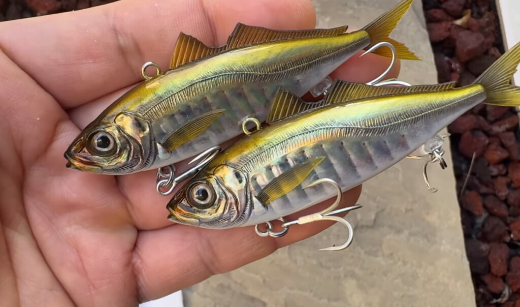 ゼイゴス】鯵極まる！ 発売前より世界的に注目を集めていた超絶リアル