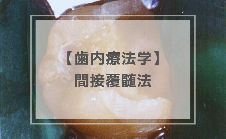 歯内療法学：間接覆髄法（計6問）【歯科医師国家試験】（2025年10月17