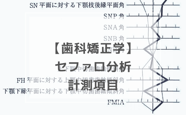 歯科矯正学：セファログラム分析 計測項目（計12問）【歯科医師国家