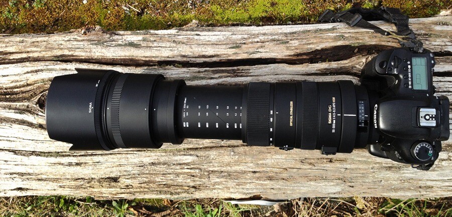 Sigma 50-500mm F4.5-6.3 APO DG OS HSM [REVIEW]