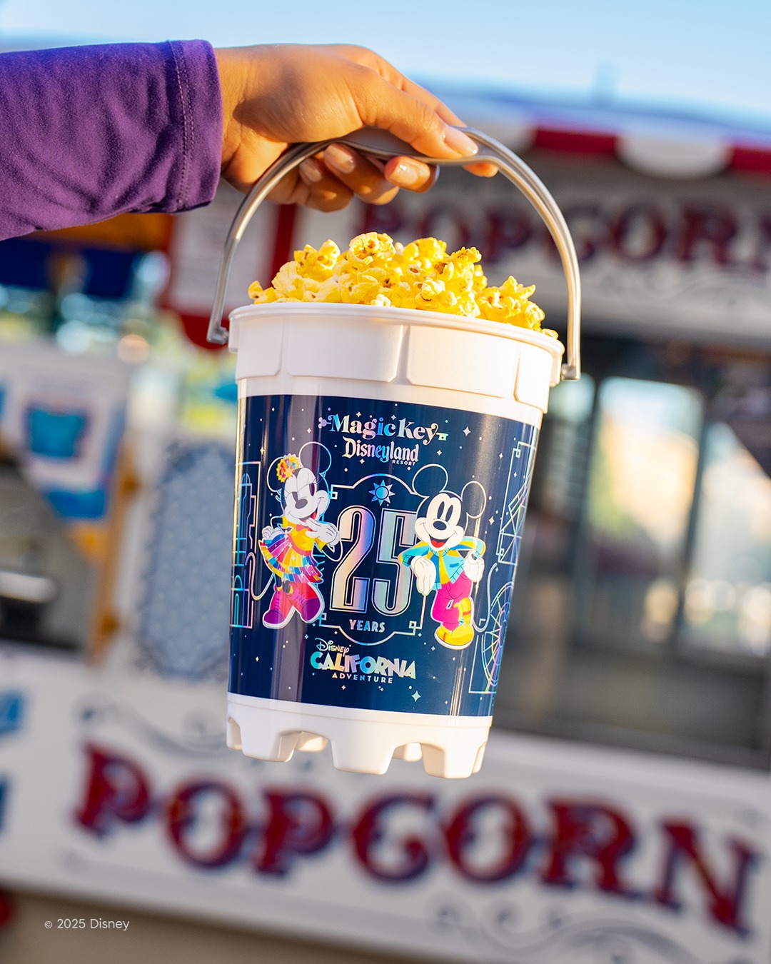 ディズニーランド・リゾート記念アニバーサリー仕様のリフィル式