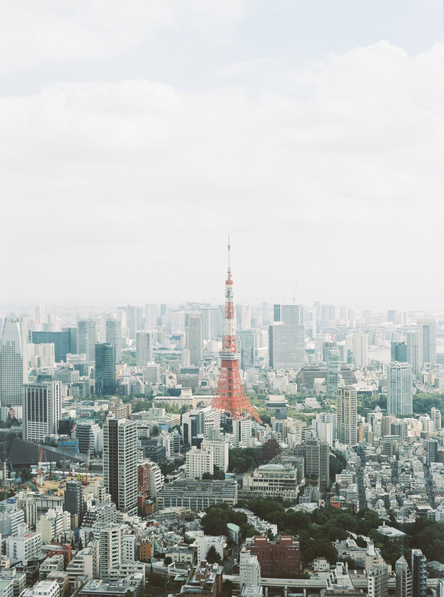 作例レビュー】PENTAX645N II｜ペンタックスのカメラ｜#わたしのカメラ