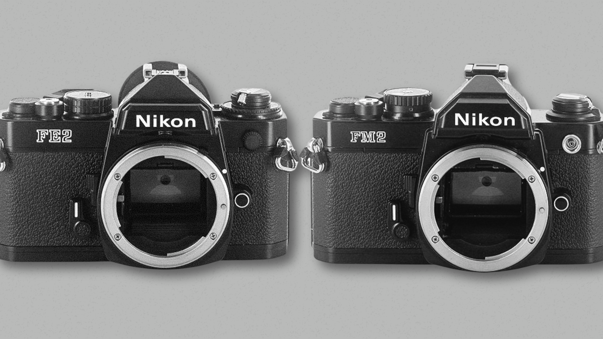 作例レビュー】Nikon F｜ニコンのフィルムカメラ｜#わたしのカメラ