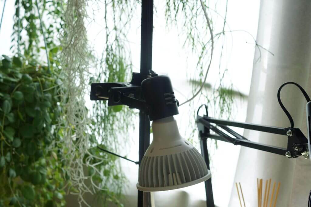 値下げ中！アマテラス-10W + ライトスタンド + ライトカバー 2セット