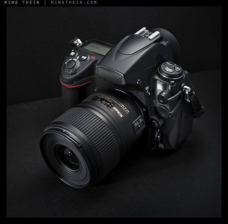 Lens review: The Nikon AFS 60/2.8 G Micro – Ming Thein | Photographer