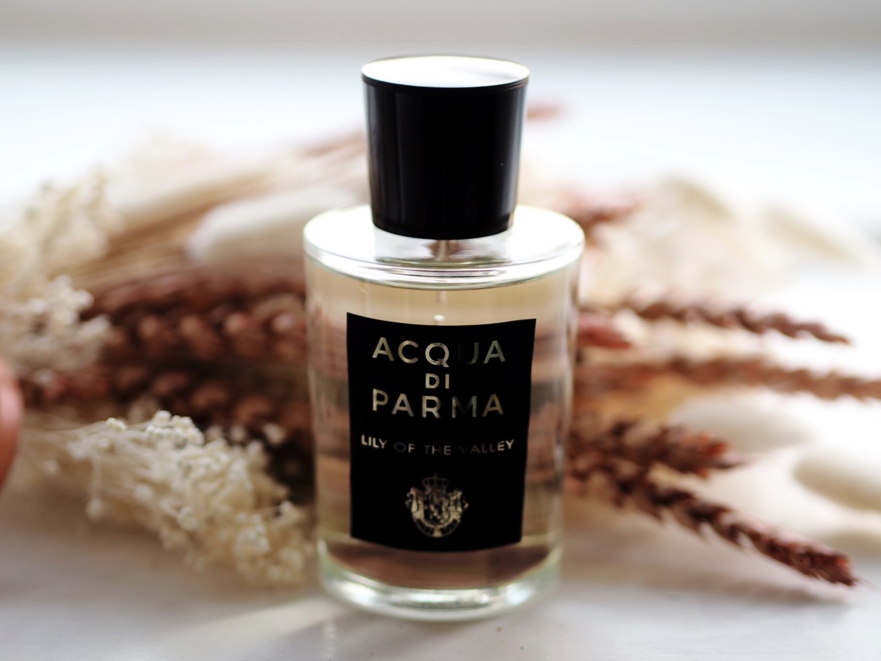 Acqua di Parma 'Lily of the Valley' Fragrance Review - Fashion For