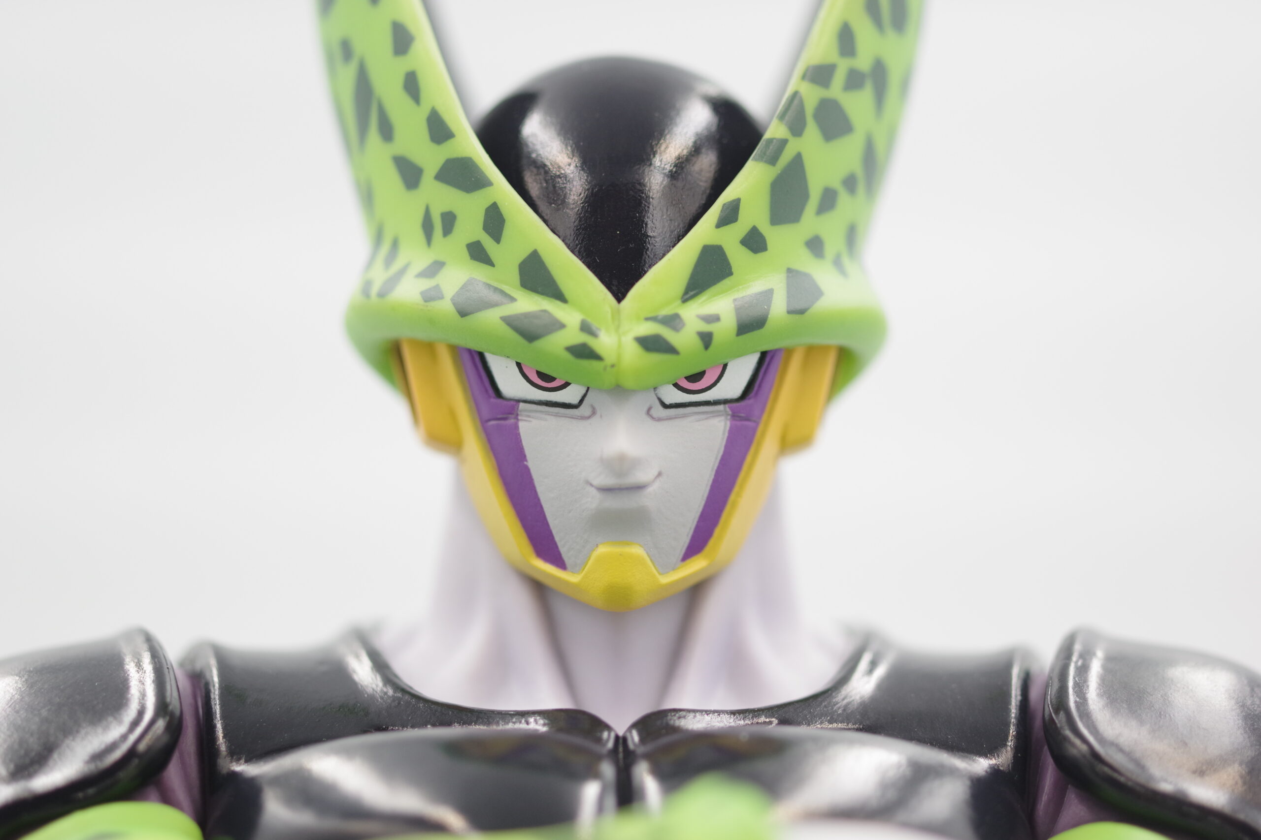 IMGP5095-scaled.jpg?fit=2560,1707