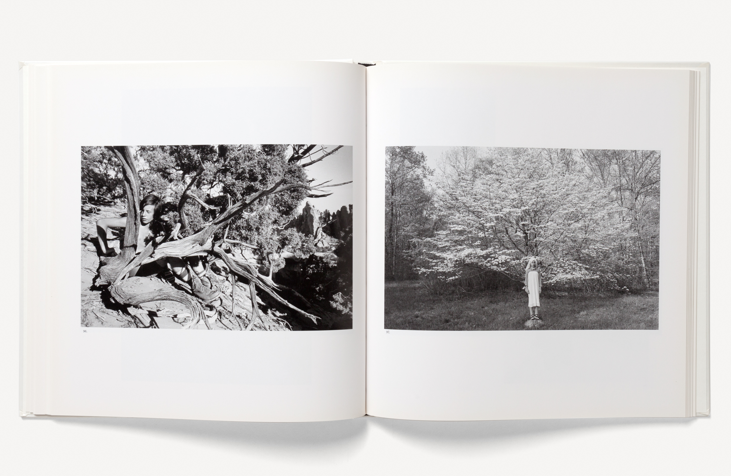 アート・デザイン・音楽 Lee Friedlander Family in the Picture