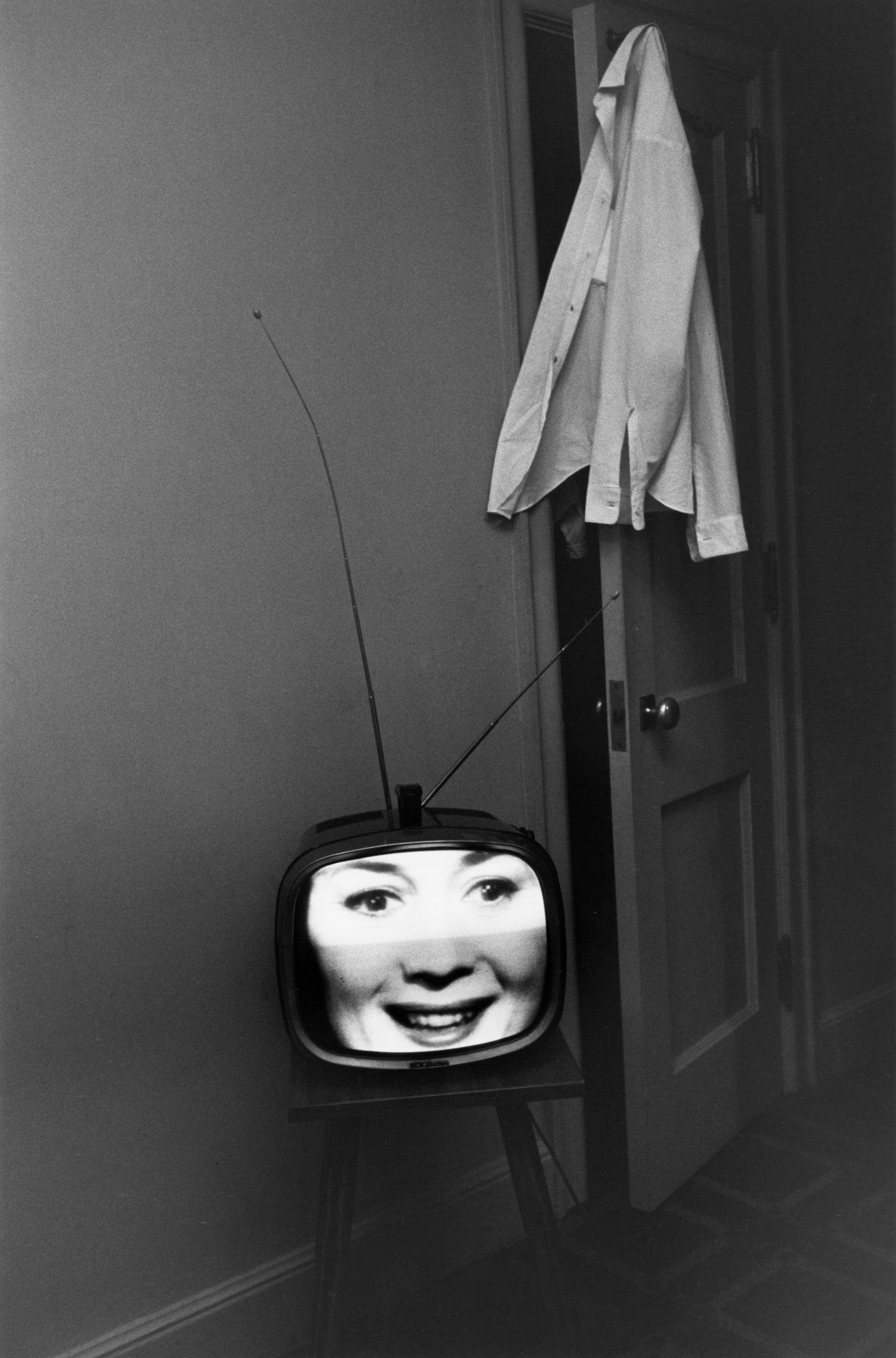 Explore – Lee Friedlander by the Book | Fraenkel Gallery