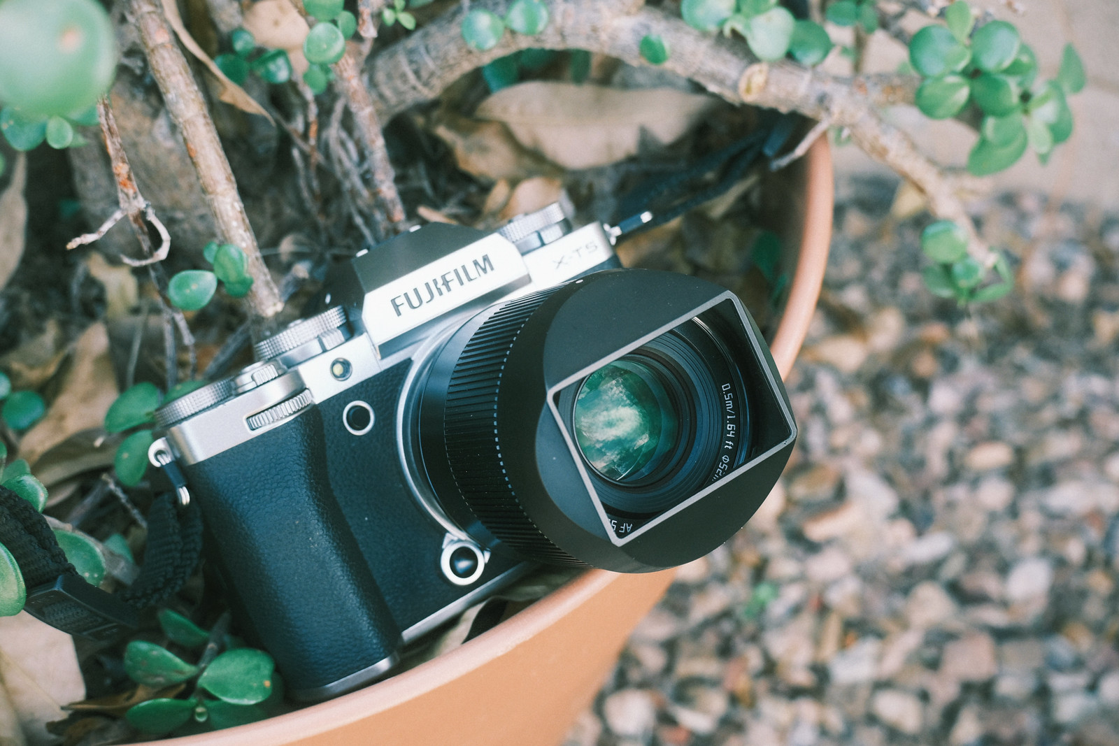 Review: TTArtisan AF 56mm F/1.8 | FUJI X WEEKLY