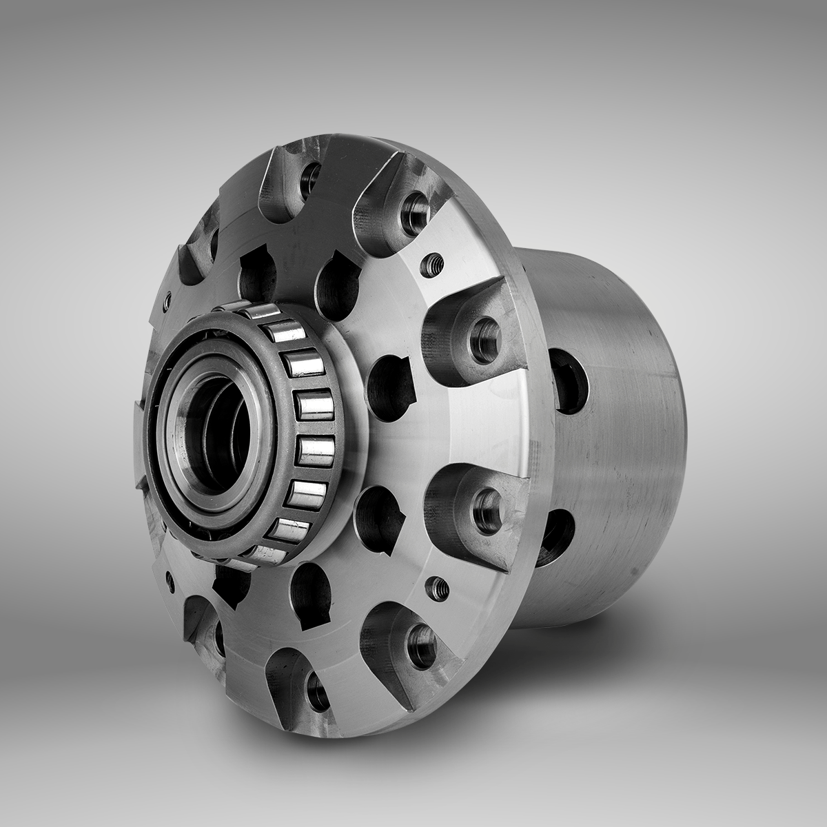 Skyline HCR32 / ENR33 / ECR33- Silvia S14 / Fairlady Z32 - LSD 1.5