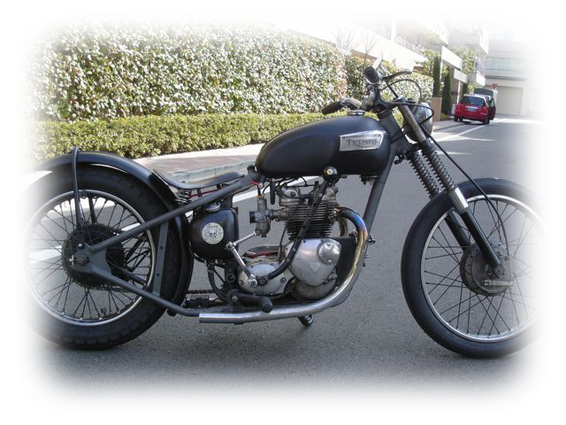 Triumph T100 | HIP LINE