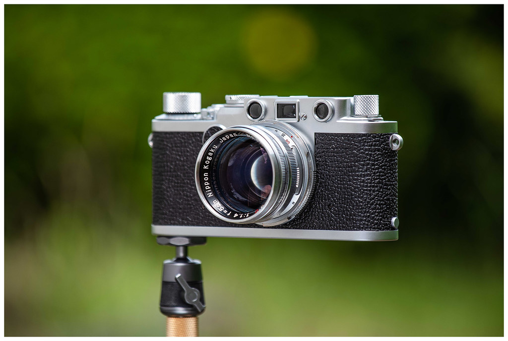 Leica M3 Portraits with Vintage Nikkor S.C 50mm f1.4 - Leica Blog