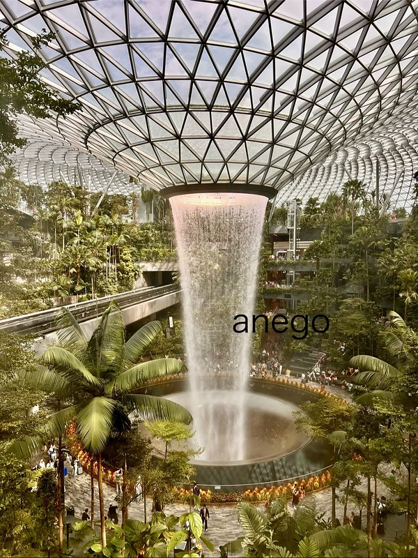 シンガポール：チャンギ空港 まとめ (2024年1月版) | 姉御の一人旅ガイド