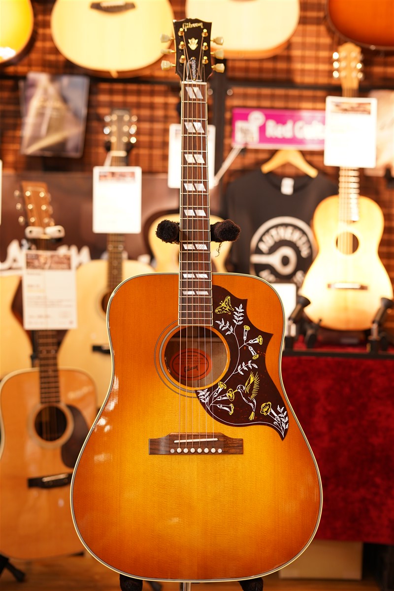 GIBSON Hummingbird Original】華やかなルックスに心躍る - Red