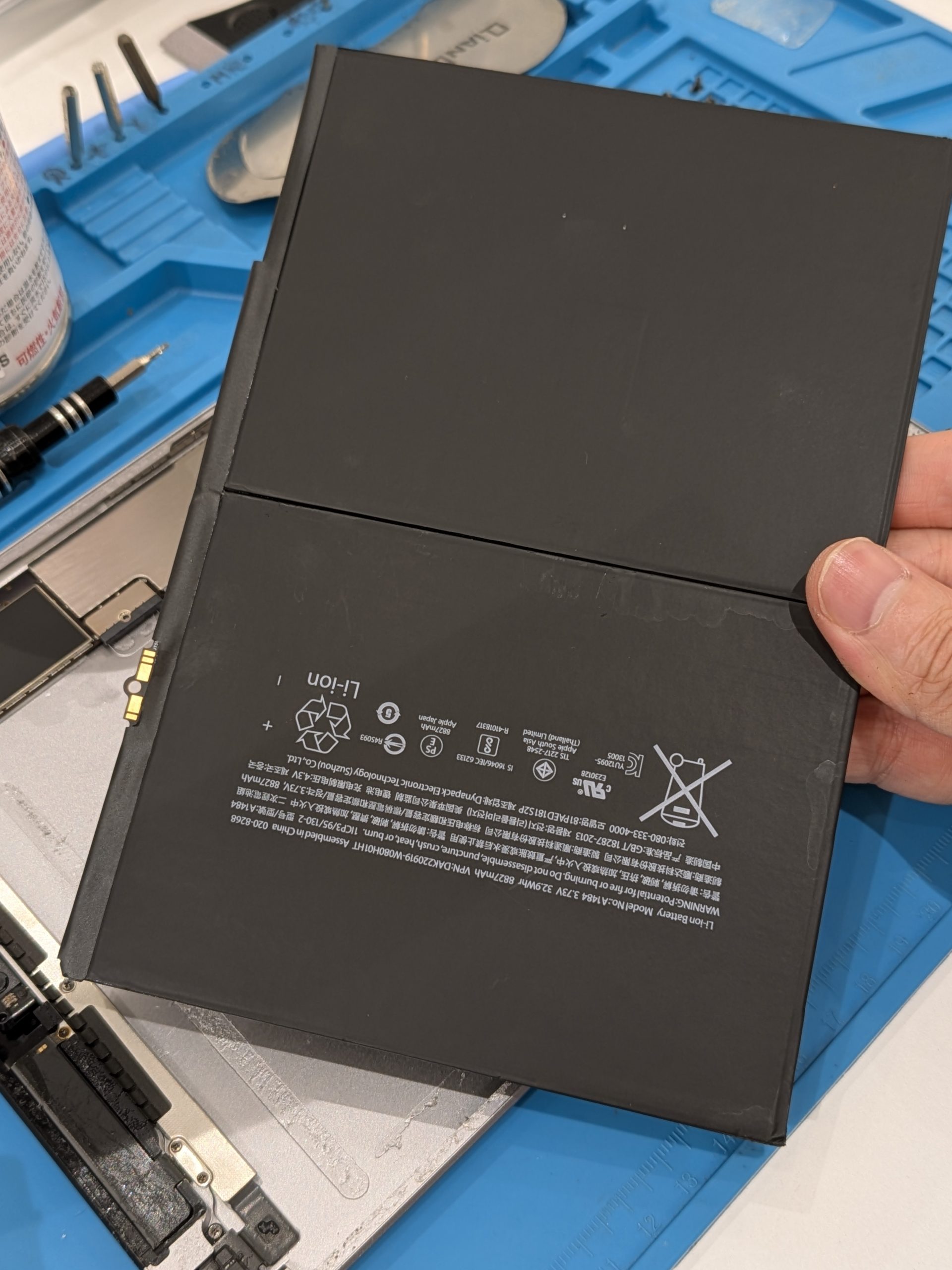 PXL_20241120_050212902-scaled.