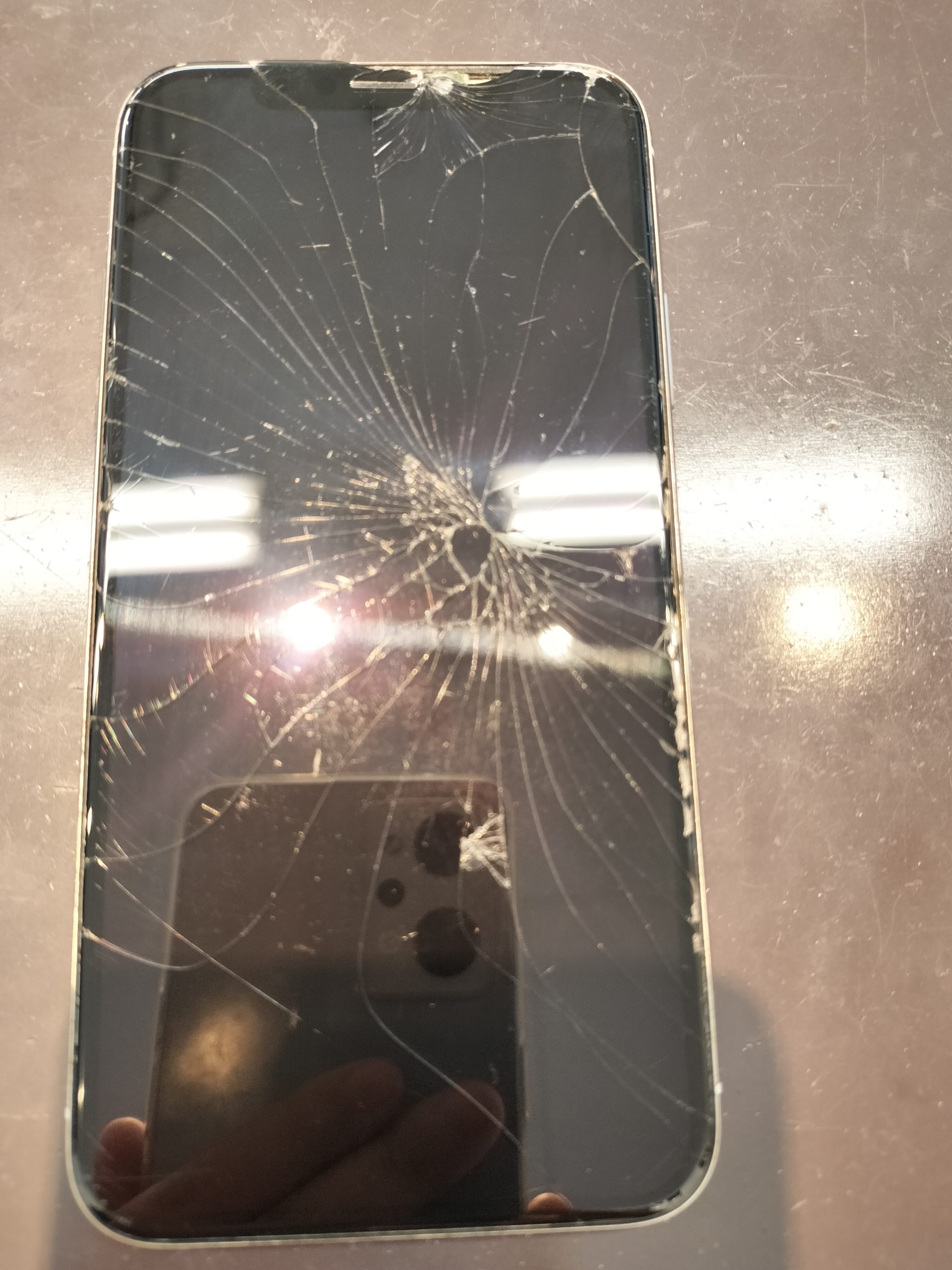 IMG20230409142644-scaled.jpg?