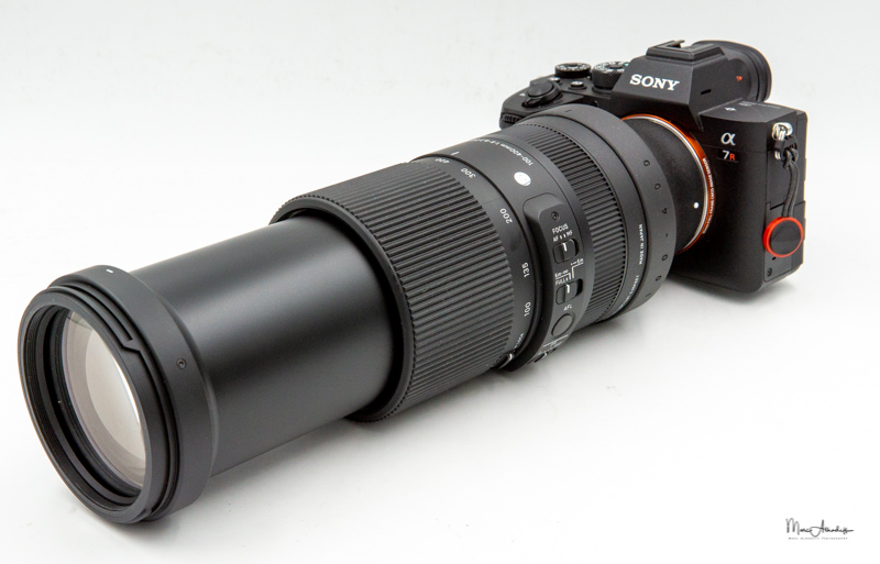 Sony Alpha Blog : Sigma 100-400mm F5-6.3 DG DN OS Contemporary