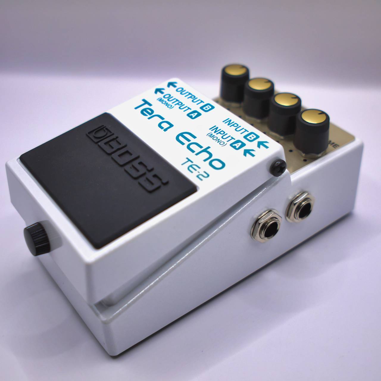 BOSS TE-2 Tera Echo 新感覚の空間系エフェクター - - 西尾楽器