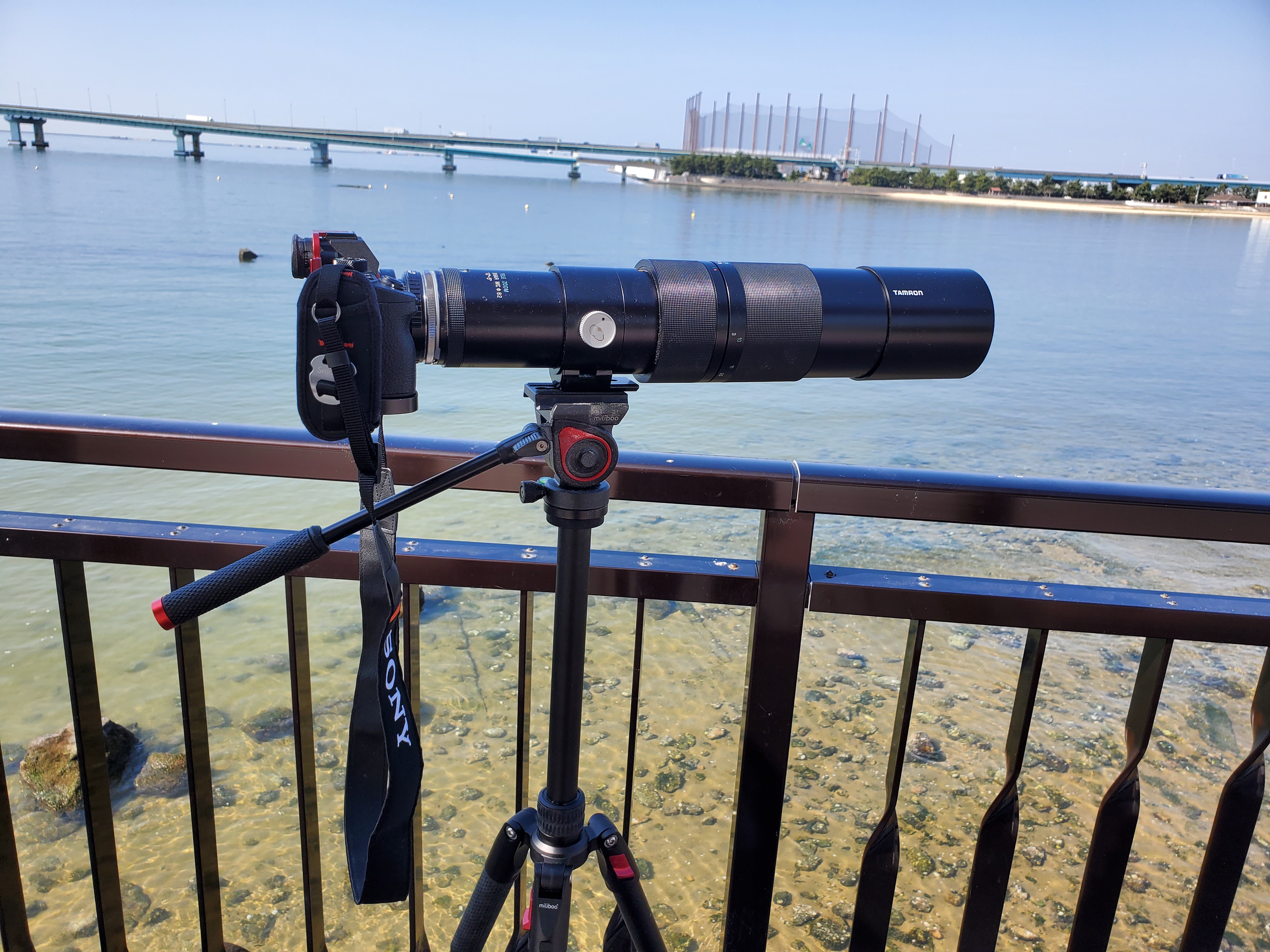 タムロン 200-500mm F6.9 アダプトール2の望遠ズームレンズを比較する