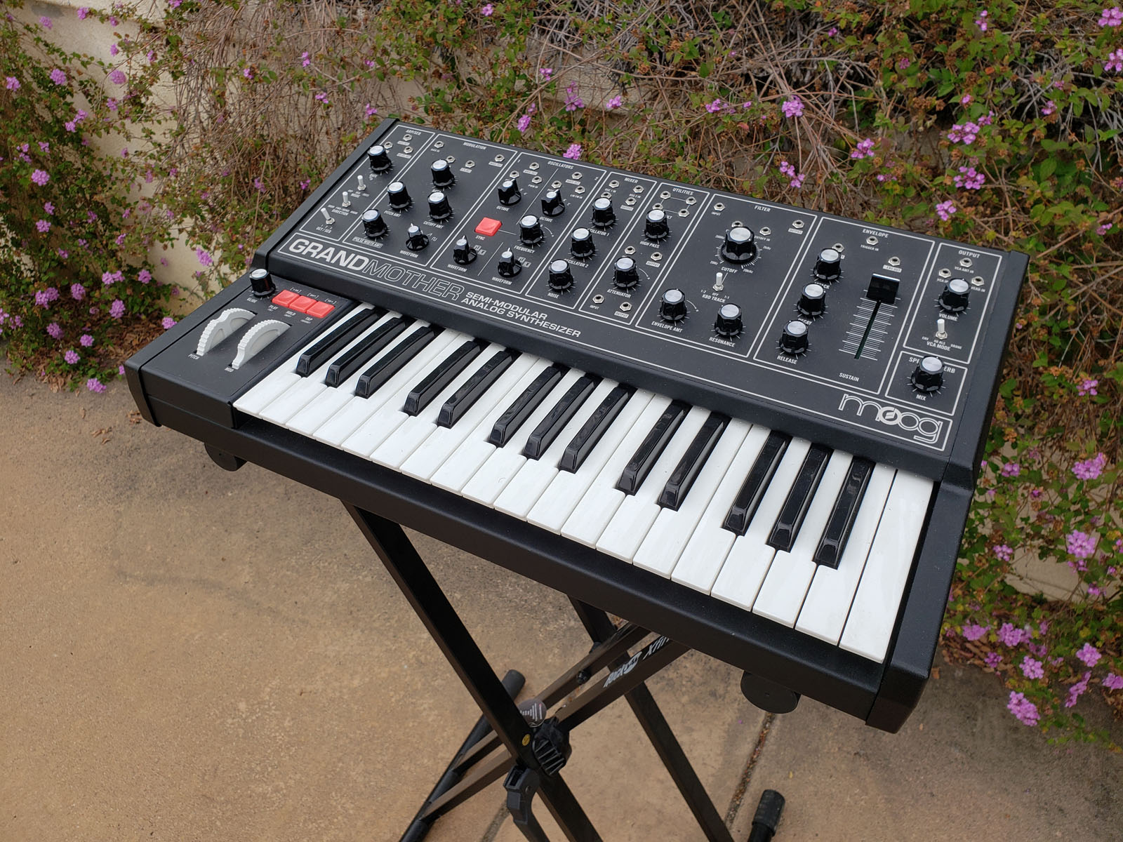 Moog Grandmother Dark with SR Series Carrying Case – Synthchaser