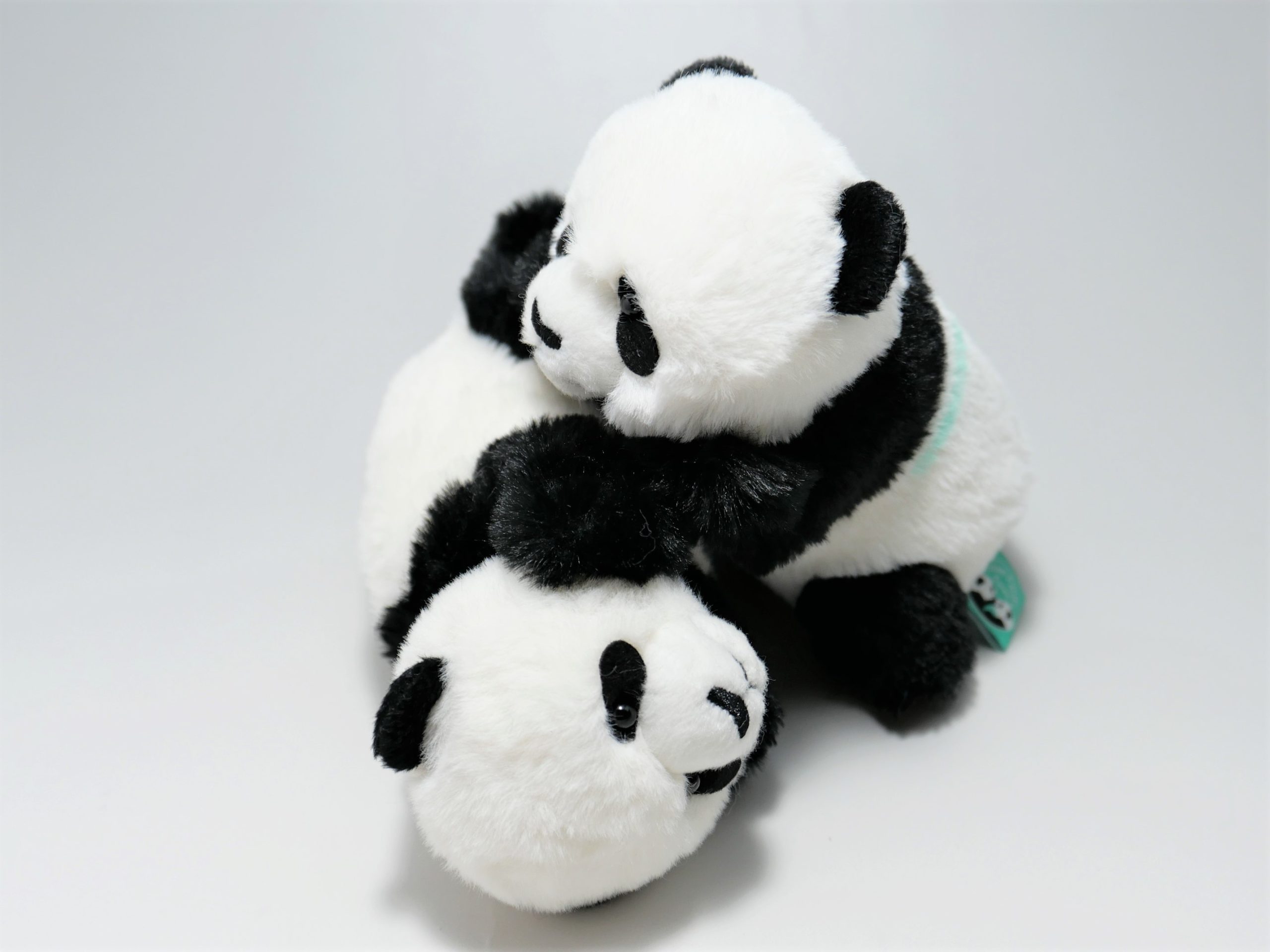 上野動物園 双子パンダ ぬいぐるみ ほんとの大きさパンダの仔 暁暁 蕾