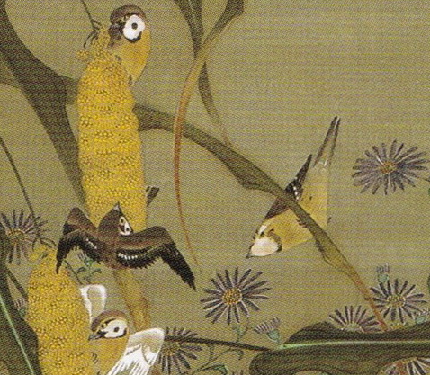 動植綵絵 04 秋塘群雀図 Shuto Gunjaku-zu(Autumn Millet and Sparrows
