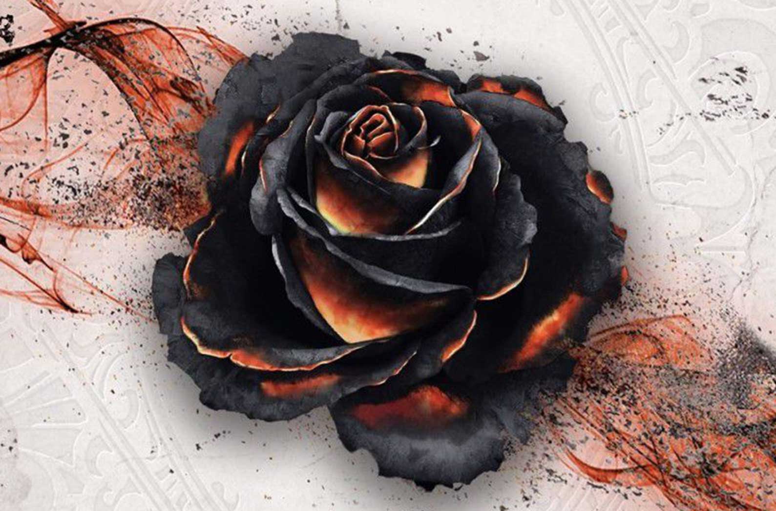 Tabletop Review - Black Rose Wars - WayTooManyGames