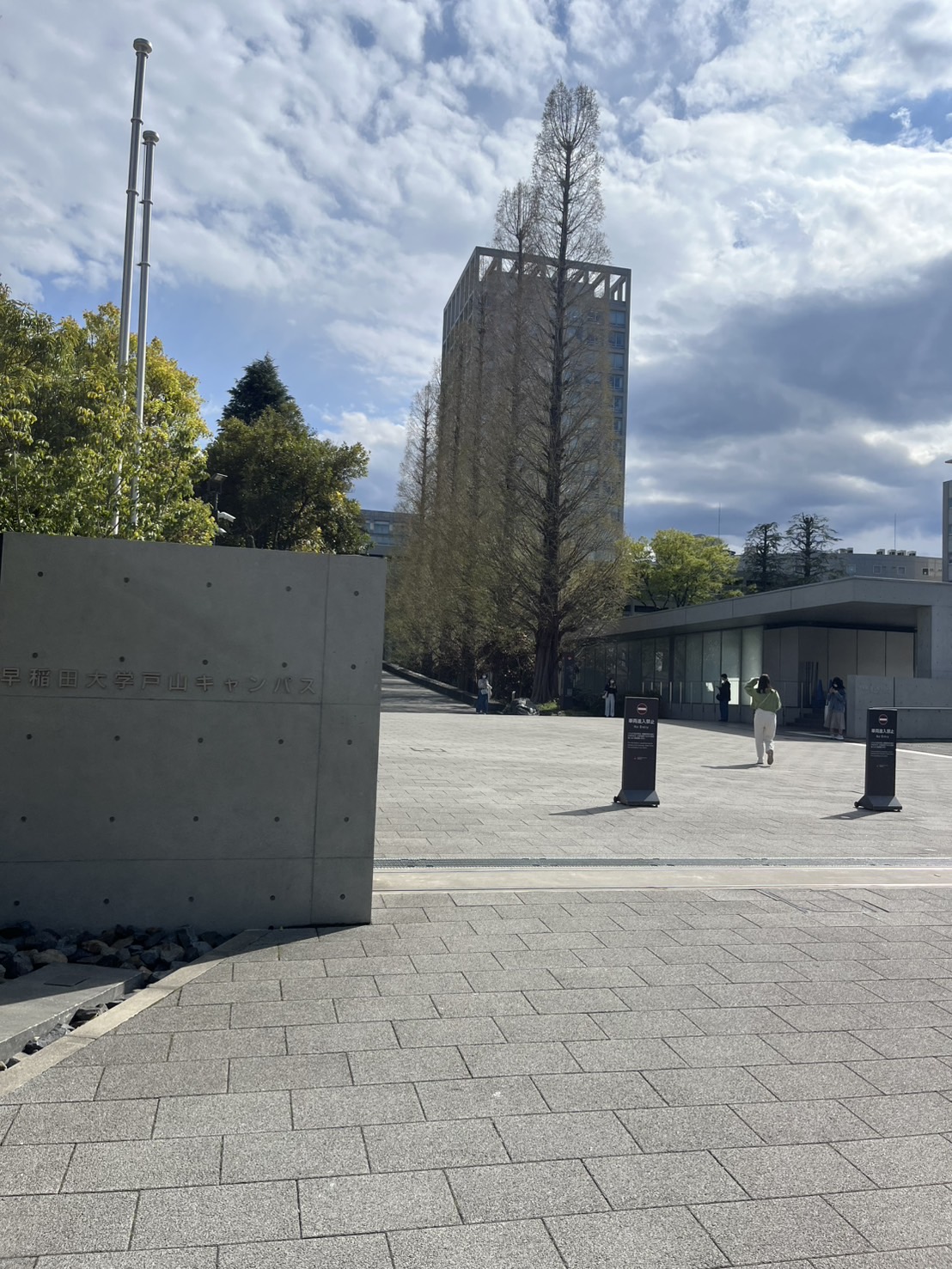 早稲田大学学部別解体新書2025ver 文構編 | WASEAD