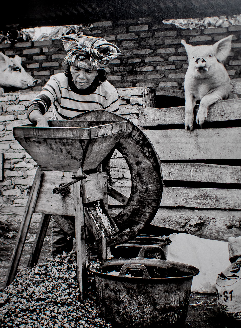 The Scent of a Dream: Travels in the World of Coffee. - Raptis