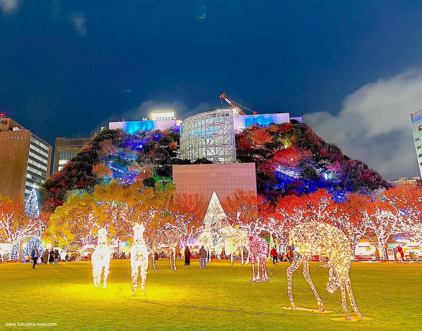 KOBITOS Zukan x ACROS Fukuoka Winter Illumination - Forest of