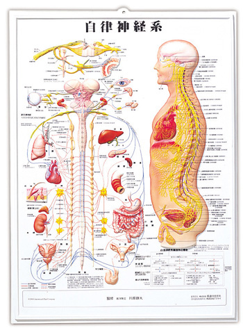 J8026RR-01.jpg?ssl=1