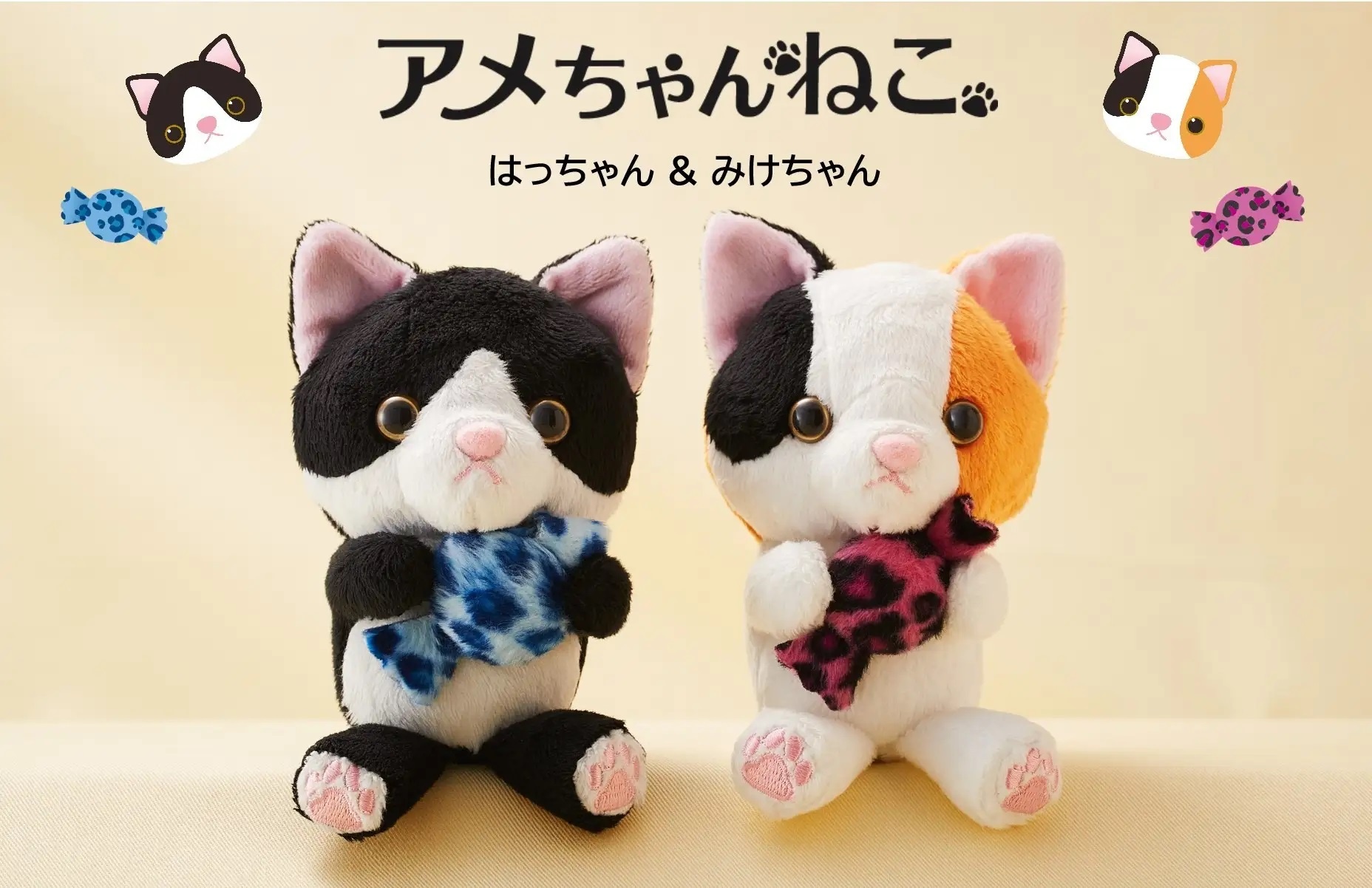 ホテル日航大阪、ハチワレの「はっちゃん」三毛ねこの「みけちゃん