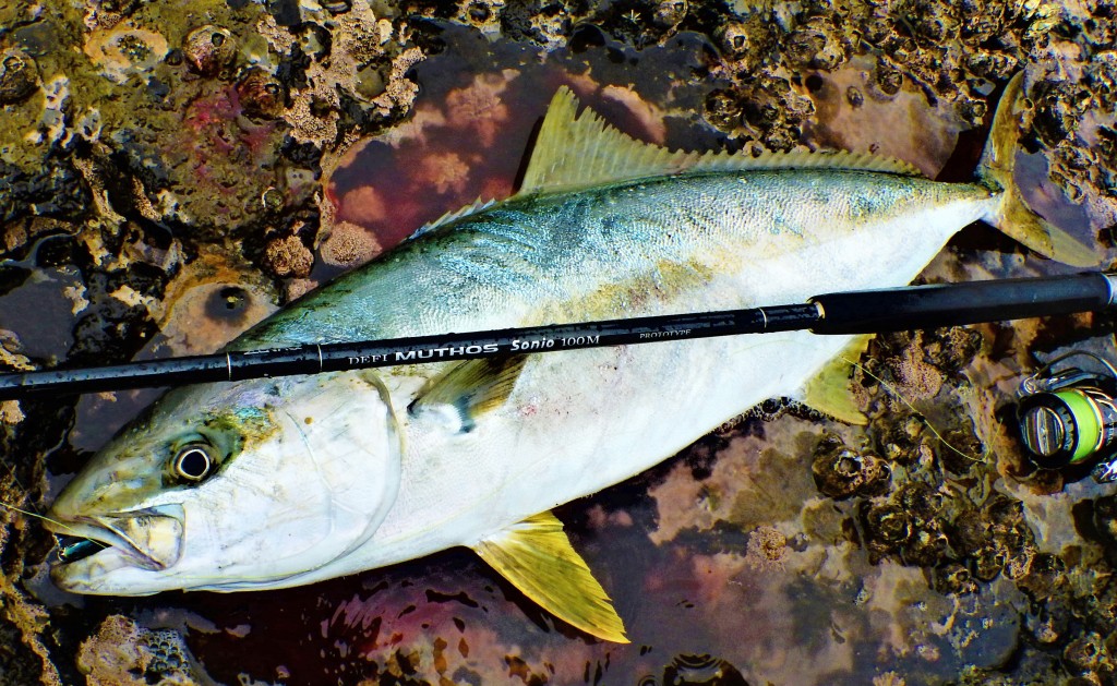 ミュートス・ソニオ100M】10gのプラグから100gのメタルジグまで扱える