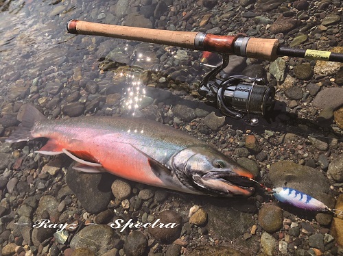 天龍のレイズスペクトラの最新機種！大型トラウト・サーモンを