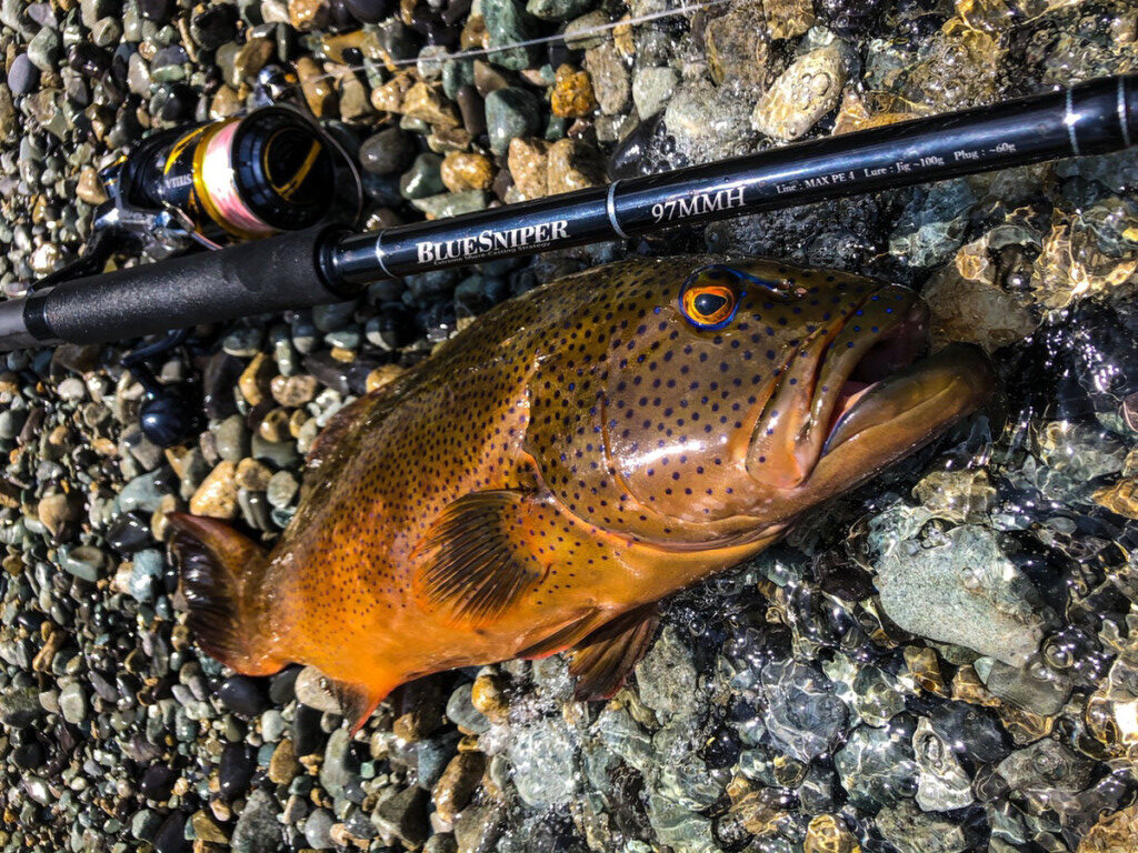 ヤマガブランクス ブルースナイパー 97MMH 【公式通販】