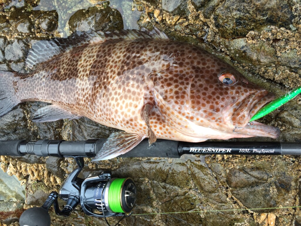 人気のショアキャスティングゲームに！】ヤマガブランクスの名竿「BLUE