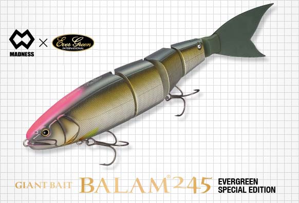 バラム245】人気の悪魔的ジャイアントベイト「バラム」に菊元俊文