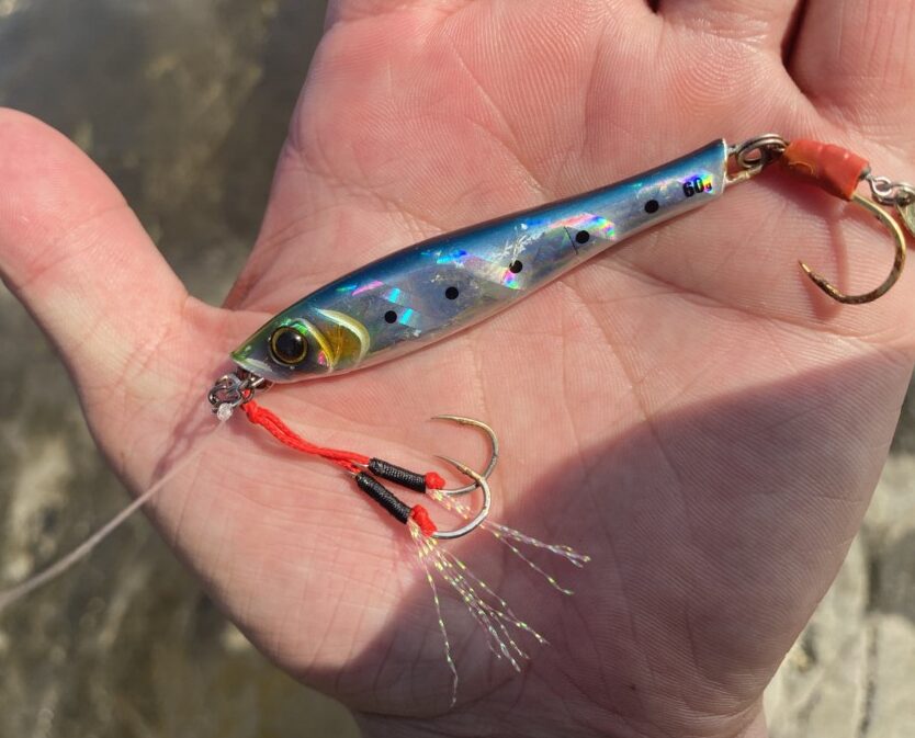 記者が買ってよかった1本！テイルウォークの「ライズシューターSSD」の