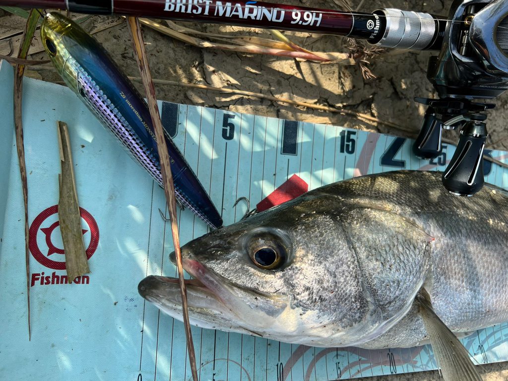 オカッパリデカトップゲーム】FishmanNEWロッド「BRIST MARINO9.9H