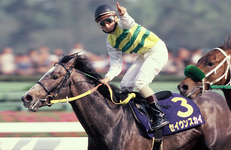 セイウンスカイ｜歴代最強馬｜芦毛の逃亡者｜名馬たちの記憶㉖ | 馬の