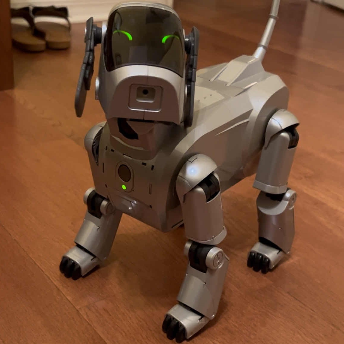 ERS-111/110 Overview | Learn About Aibo | Virtual Paws