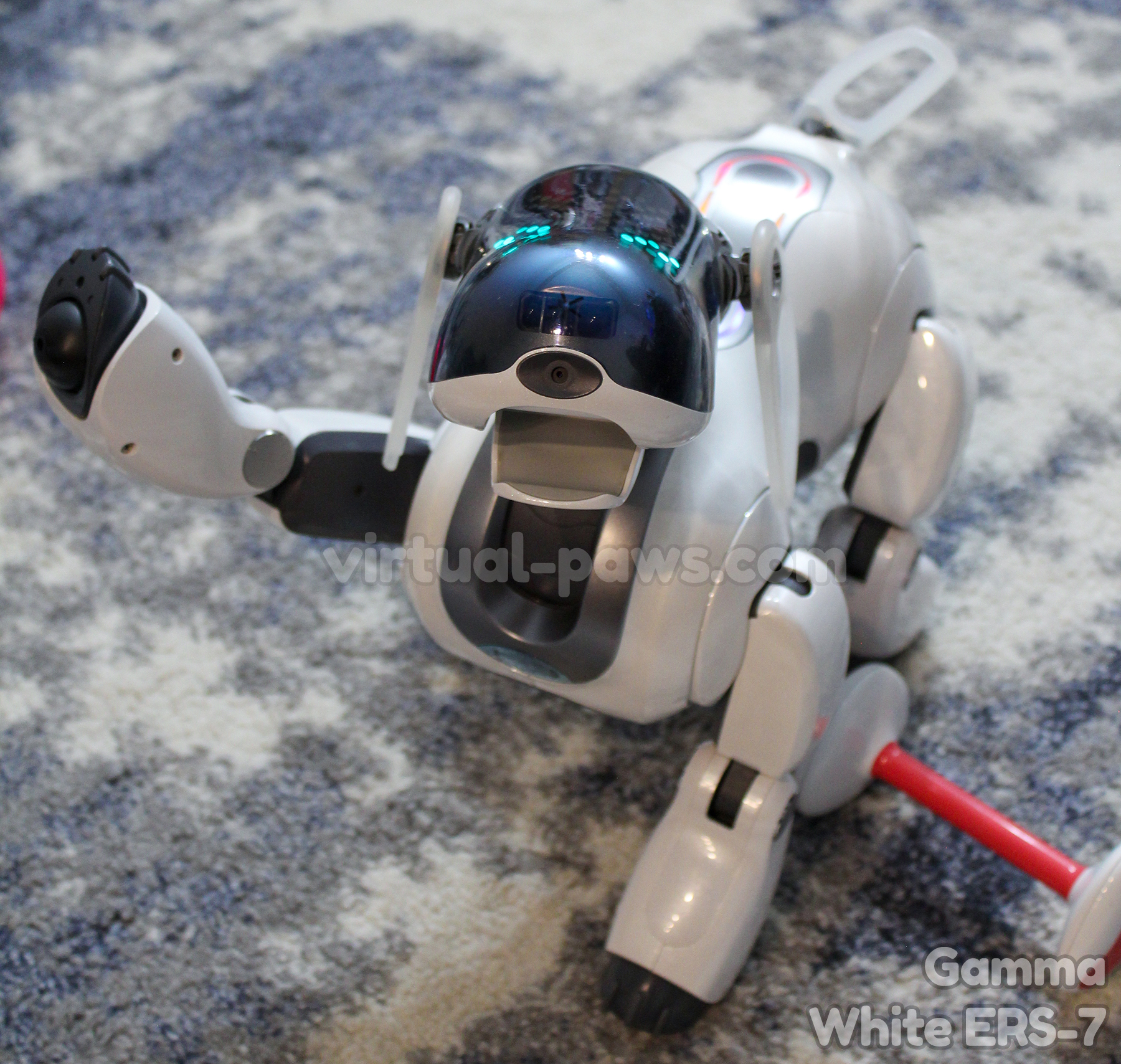 ERS-7 Aibo Overview | Learn About Aibo | Virtual Paws