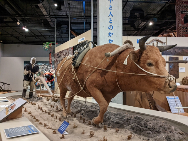 ウシだらけの個性派ミュージアム『牛の博物館』（奥州市） | シマグニ