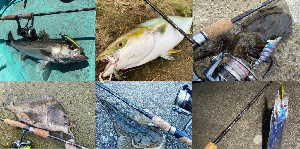 1本でいろいろな釣りが楽しめる優等生＆超万能ロッド！ゼニスの